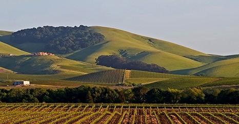 Napa and Sonoma, The Best Tours and Tastings in Wine Country