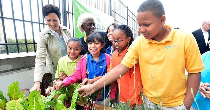 Charity Auctions and Sweepstakes, 