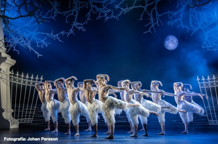 Group of dancers from Matthew Bourne's Swan Lake in swan costumes performing on stage with a moonlit backdrop, gate, and trees. Fotografía: Johan Persson