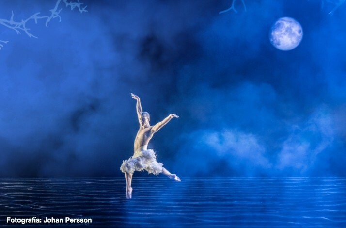 Solo dancer from Matthew Bourne's Swan Lake in a swan costume performing on a moonlit stage with a water-like backdrop. Fotografía: Johan Persson
