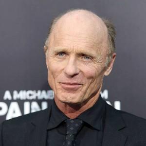 Responsive image Ed Harris