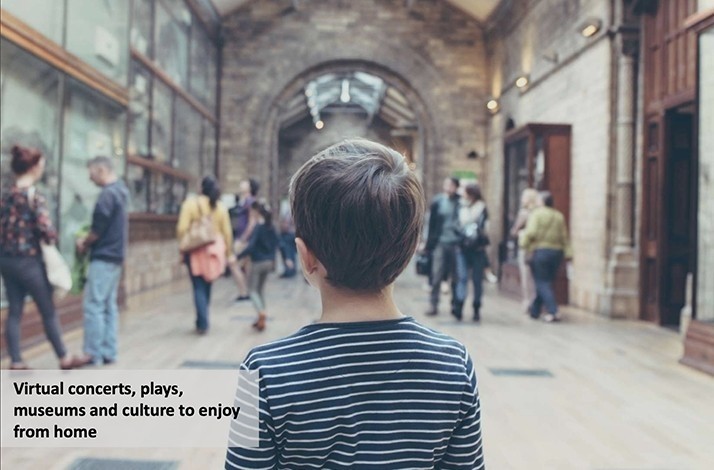 The guide to virtual concerts, plays and museums: In Miami, Florida