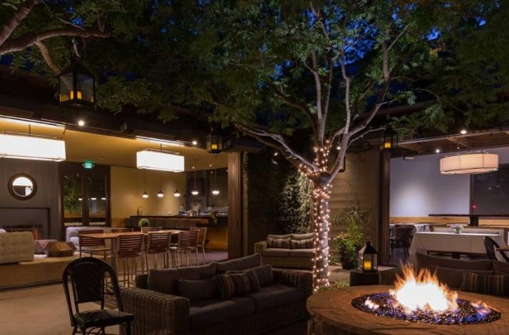 Educational Sake and Dinner Pairing Experience at Kitchen Collective: In Napa, California (1)