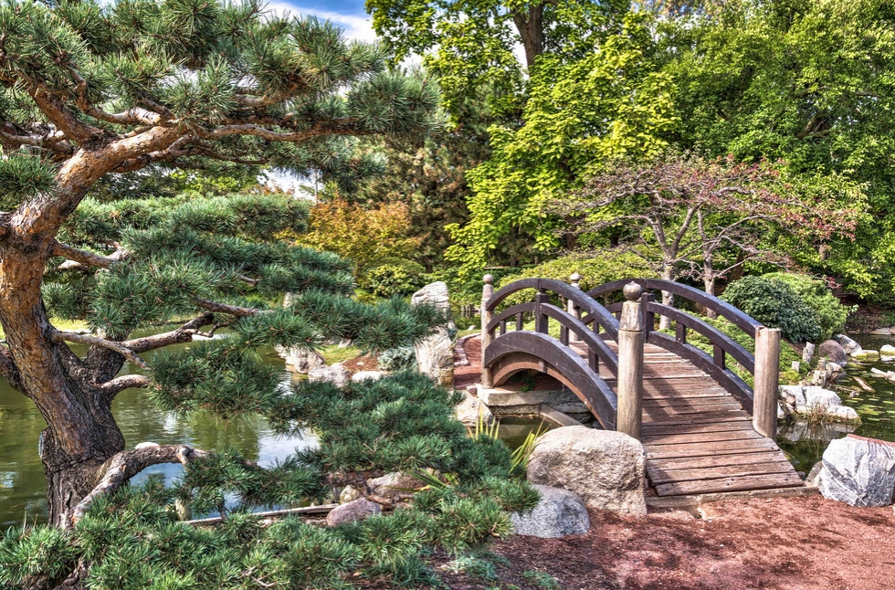 Meditative Nature Walk for Stress Relief: In Chicago, Illinois (1)