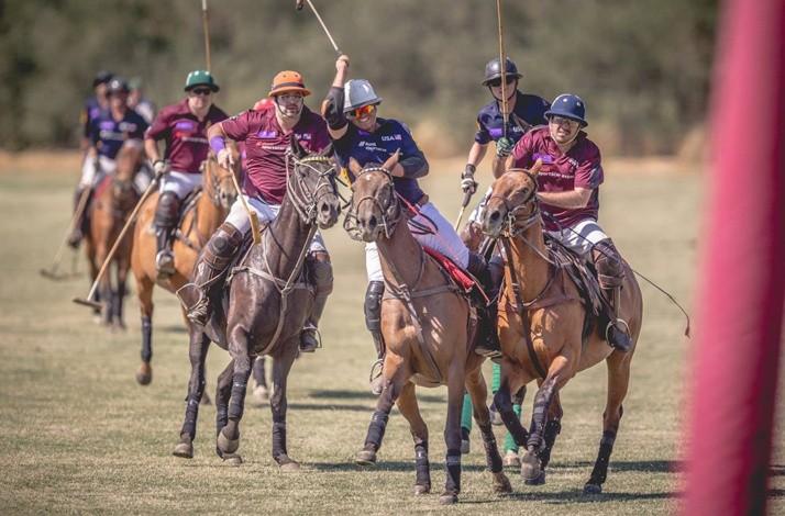Private Polo Lesson from a Member of a Famed Argentine Polo Family: In Petaluma, California (1)
