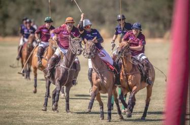 Private Polo Lesson from a Member of a Famed Argentine Polo Family: Petaluma, California