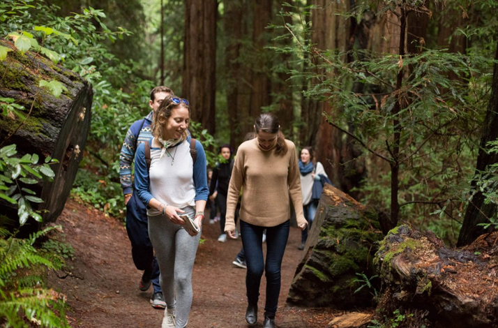 Experience the art of, Forest Bathing, the hottest trend in wellness, with Author Julia Pelvin: In San Francisco, California (1)