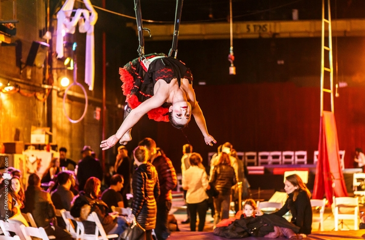 Aerial Bungee and Wall Running Taught by a Professional Aerialist/ Stunt Performer: In Brooklyn, New York Aerial Bungee and Wall Running Taught by a Professional Aerialist/ Stunt Performer: In Brooklyn, New York (1)