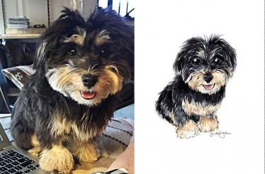 Pet Portrait by a Celebrated Fashion Illustrator