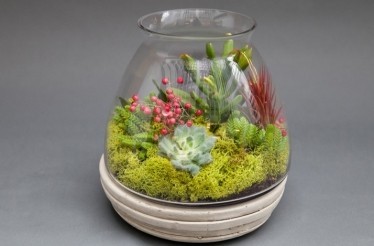 Learn to Make Terrariums in This Family Friendly Workshop with a Professional Floral Designer: San Francisco, California