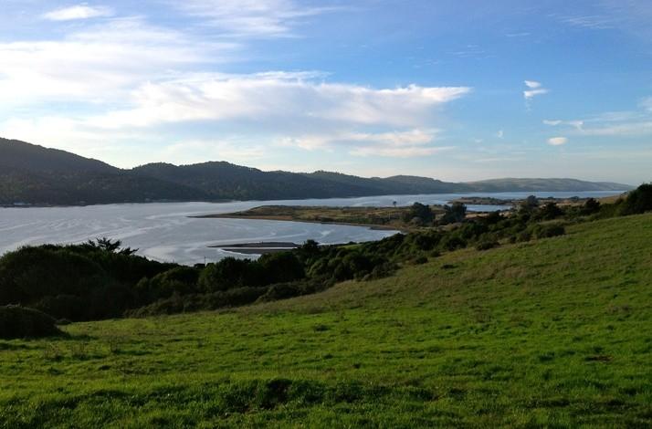 7 Culinary Wonders of West Marin with a Local Native: In Point Reyes Station, California (1)