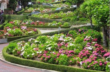 City Hike Follow in the Footsteps of Armistead Maupins Bestseller: San Francisco, California