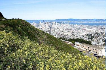 Off the Beaten Path Scale Urban Jungles and City Heights with a Local Expert: San Francisco, California
