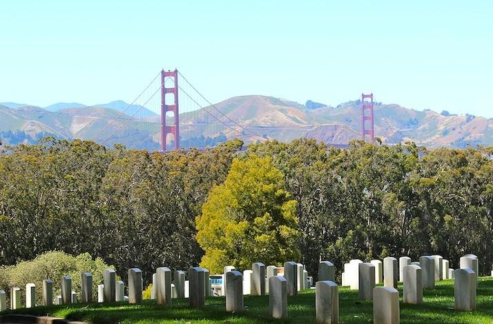 Unlock the Treasures of the Presidio Through the Expertise of a Seasoned Local Hiker: In San Francisco, California (1)