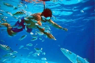 Snorkel Express Huatulco: Santa María Huatulco, Mexico