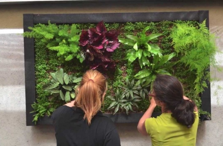 Succulent Art Workshop at Restaurante Ajonjoli: In Mexico City, Mexico (1)