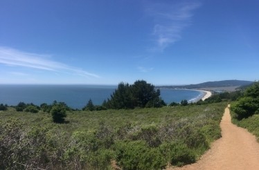 Private Guided Hiking Excursion Through the Stunning Marin Redwoods: San Francisco, California