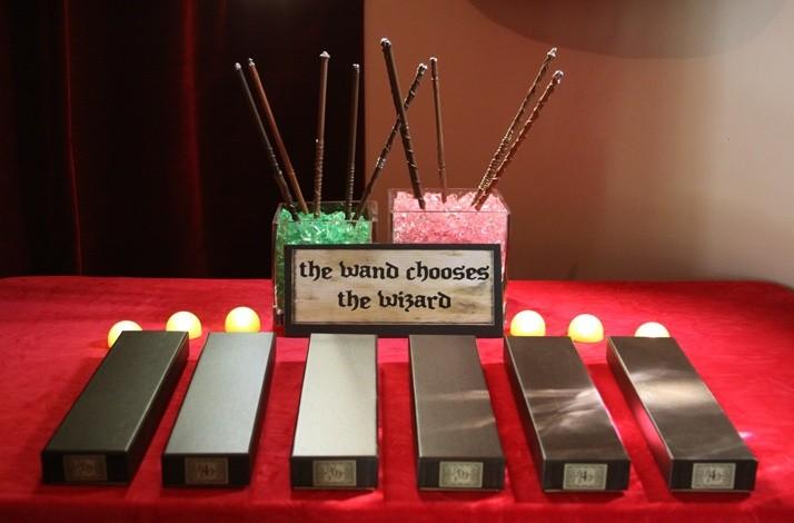 Harry Potter Themed Party Hosted by a Professional Event Planner: In South San Francisco, California (1)