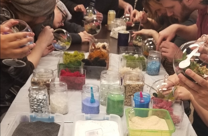 Create Your Own Terrarium in a Workshop with Fun With Plants: In Laguna Beach, California (1)