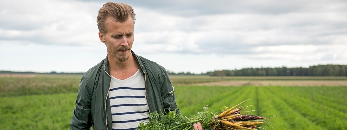 Chef Paul Svensson in a field carrying a bunch of fresh carrots.