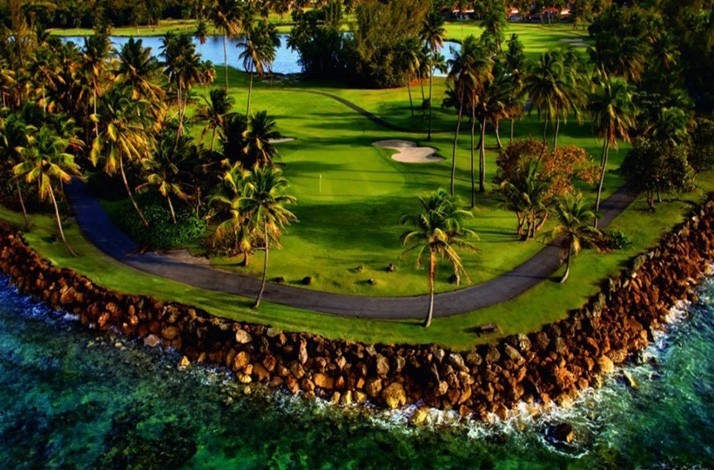 A rocky seashore of TPC® Dorado Beach luxury golf resort with its green lawns and water pools under palm trees.