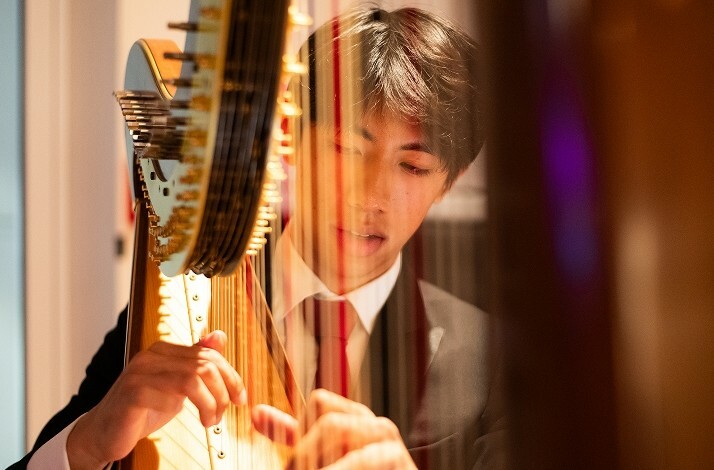 Close-up of a musician playing a harp at Park Hyatt Auckland.