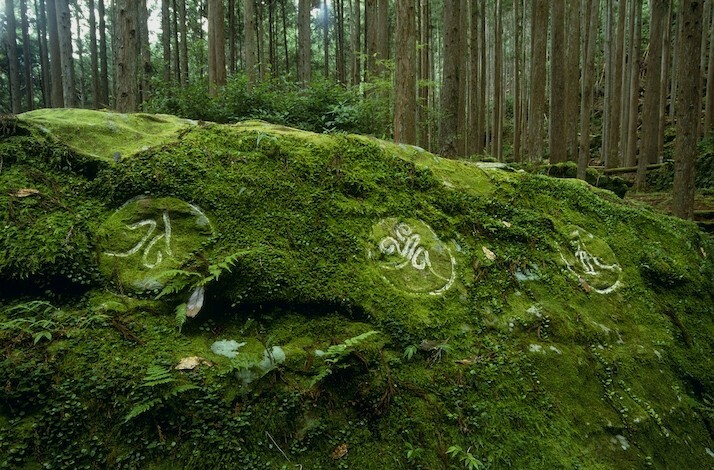 Priceless Bid To Win A Trip For Two To Voyage The Sacred Grounds Of Japan S Kii Peninsula In Osaka Japan