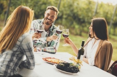 Hudson Valley VIP Vineyard Tour by Helicopter for Two: New York, New York