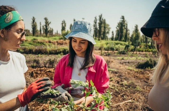 Culinary experience on the chinampas: In New York, New York (2)