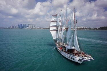 Aerial view of the Royal Albatross at sea.