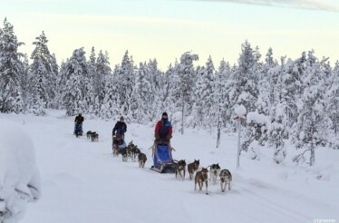 A group of people on dough sleighs on a snow mountain