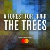 A FOREST FOR THE TREES