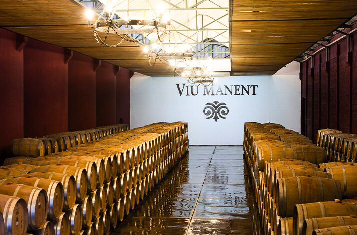 A full wine cellar at Viu Manent Winery.