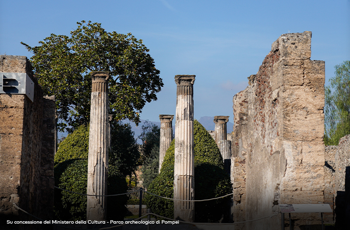 Stroll Pompeii's ancient streets, then dine under vineyard canopies