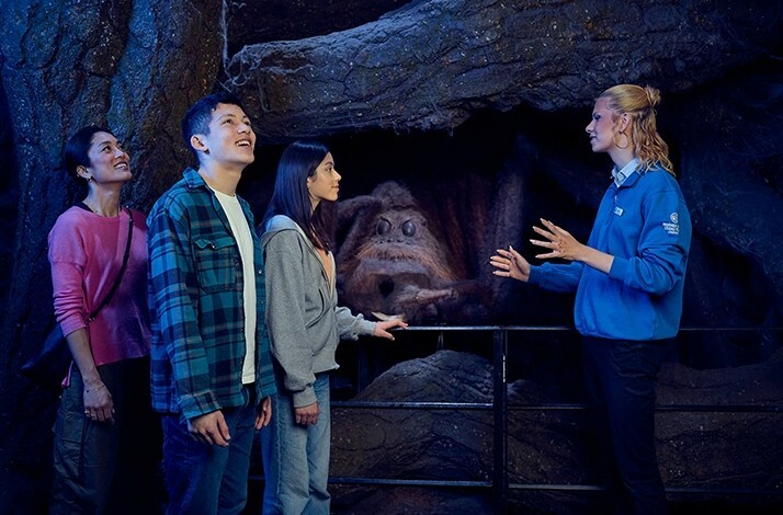 Three people are listening to the tour guide at Warner Bros Studio Tour Lodon.