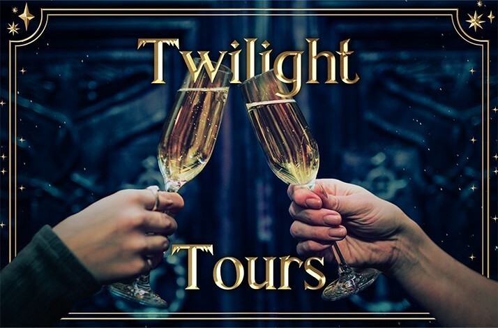 Promotional poster for Twilight Tours.