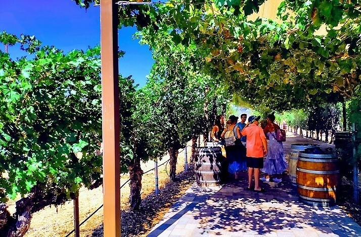 A group of participants on excursion through vineyard at the Wilson Creek Winery.