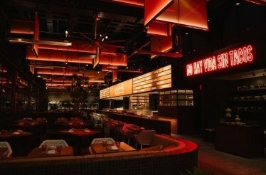 Dining area of Oyamel Cocina Mexicana