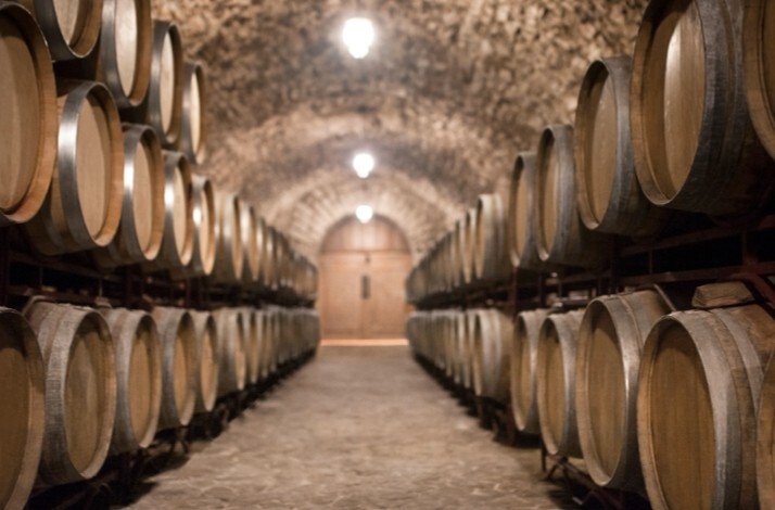 Rows of oak wine barrels lining a vaulted stone cellar at Castillo del Buen Amor winery, Salamanca.