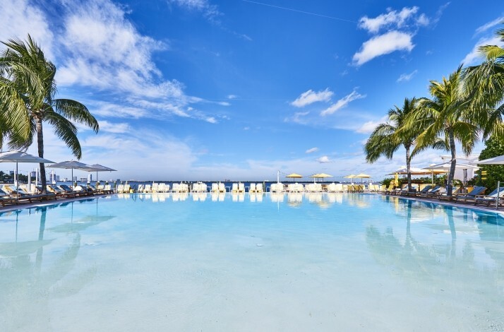 View from the outdoor pool of  The Standard Hotel with lounge chairs, umbrellas and palm trees
