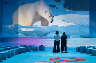 Polar Experience - The Immersive Exhibition about the Arctic and Antarctic.
