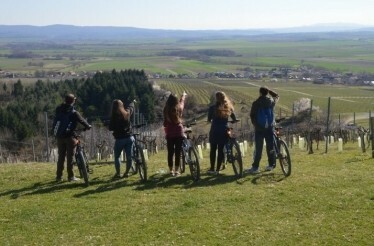 Group of participants exploring Slavonia's Golden Valley on Luks Bikes.