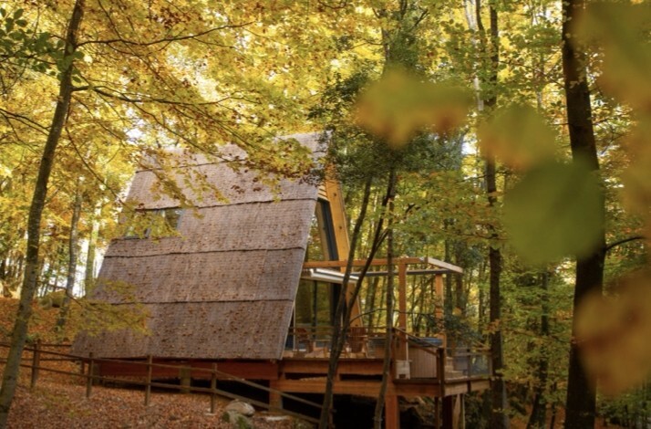 Thatched-roof tree cabin elevated on wooden stilts, surrounded by a vibrant autumnal forest canopy. Confidence: High