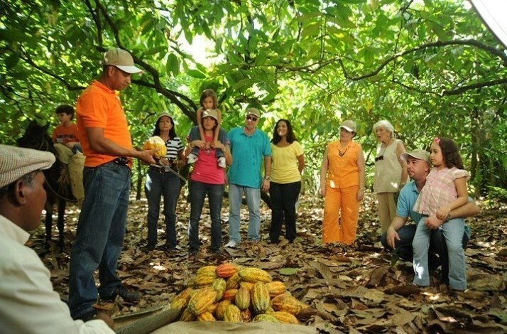 Tourists exploring Punta Cana's striking nature with an expert guide