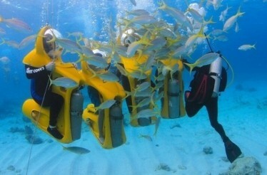 Group of participants of Scuba doo diving around small fish.