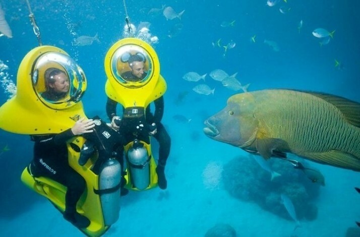 Two tourists in front of a big fish under the sea