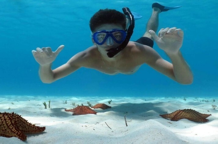 A snorkeler amid starfish near Caribbean Sea seafloor.