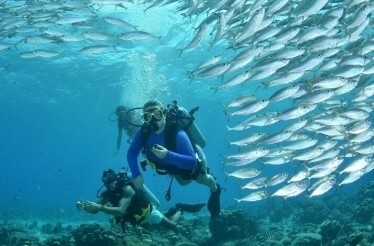 Dive into the underwater world of scuba in Curaçao