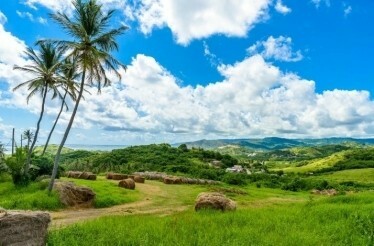 Panoramic view of cherry tree hill reserve