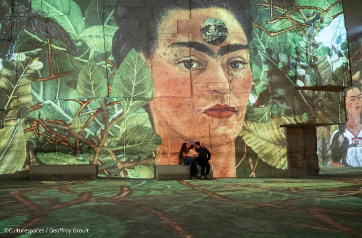 Elevate Your Senses at Bordeaux's Immersive Art Experience